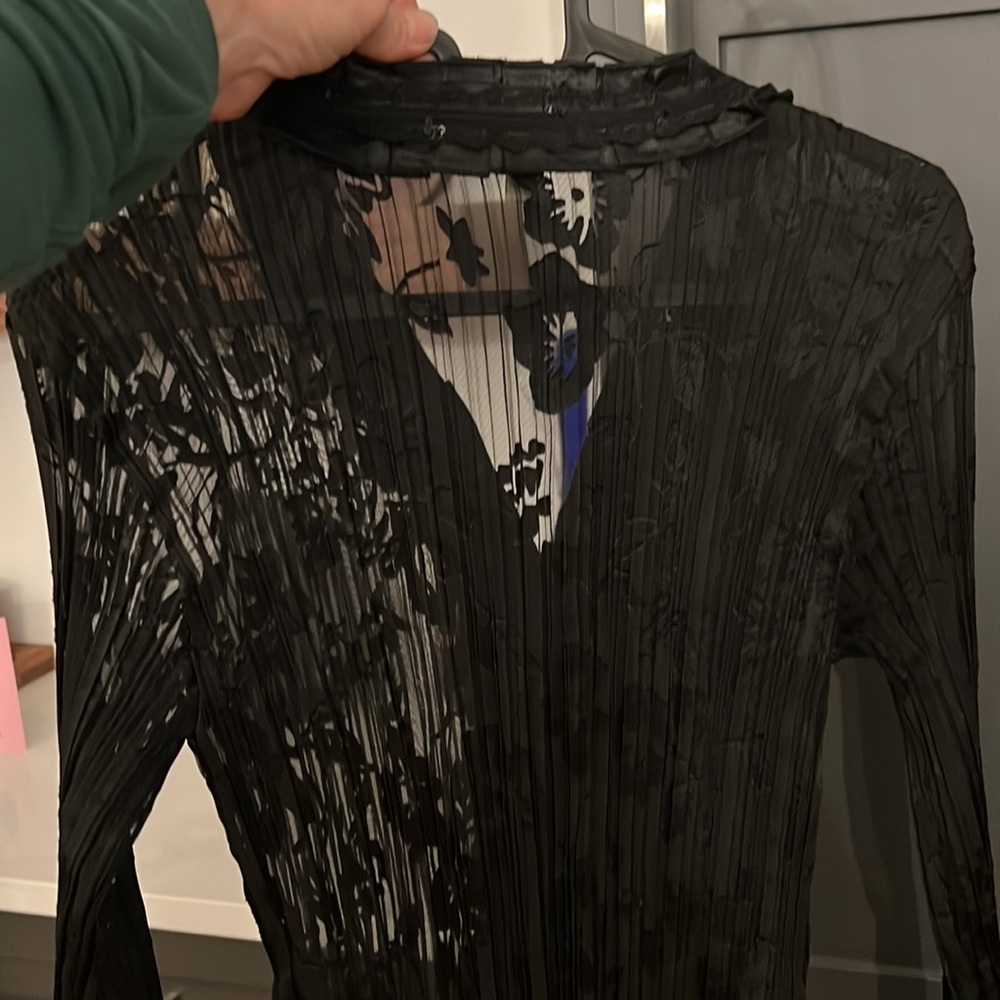 Ness slightly sheer blouse - Picture 3 of 4